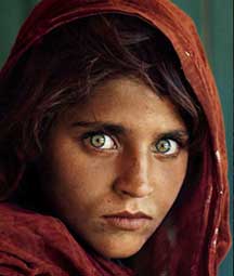 Sharbat Gula